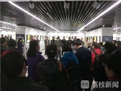鸟类摄影艺术展 用镜头呼吁爱鸟护鸟