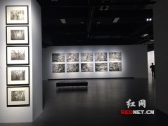 塞尔斯个人展长沙启幕 80幅作品亮相