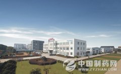 威龙科技即将扬帆起航 "踏青"第53届全国药机