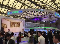 爱康集团闪耀亮相2017SNEC光伏展